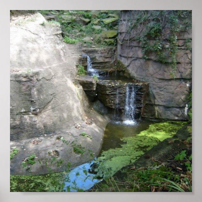 Poster de cascata (Frente)