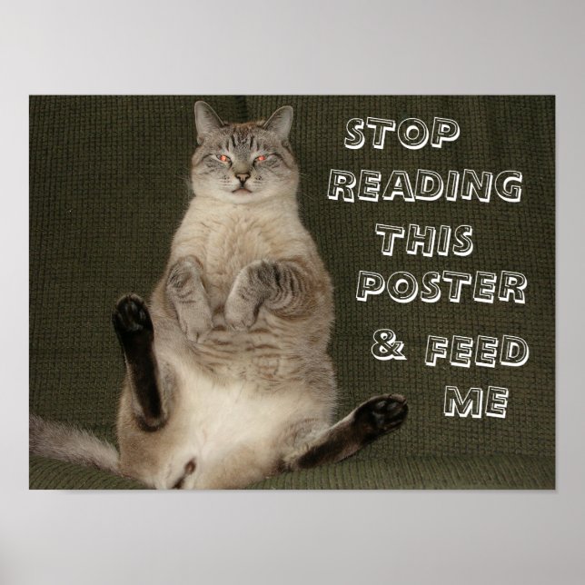 Poster de Cat "Pare de ler este Poster e me alimen (Frente)