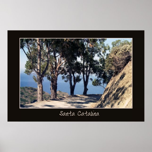 Poster de Catalina do papai noel (Frente)