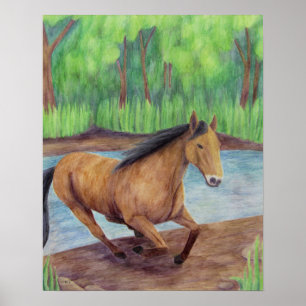 Poster de cavalos