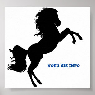 Poster de cavalos