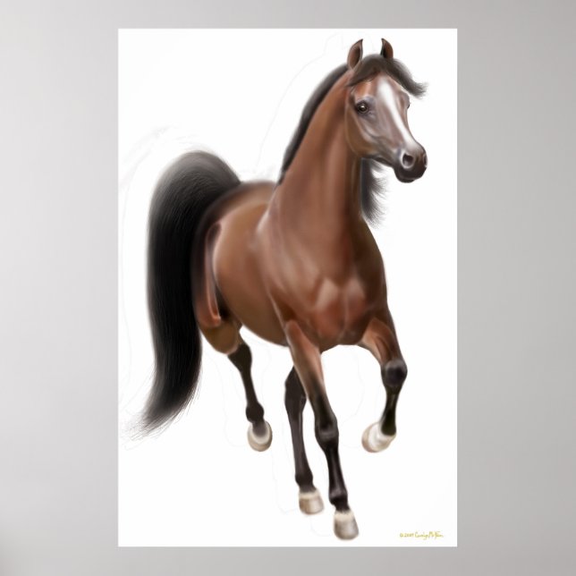 Poster de cavalos de Trotting Bay (Frente)