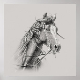 Poster de cavalos: Energia majestosa no monitor