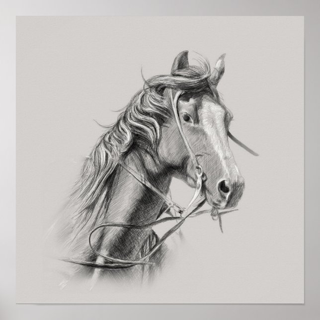 Poster de cavalos: Energia majestosa no monitor (Frente)