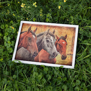 Poster de cavalos para papel de dissociação ou d