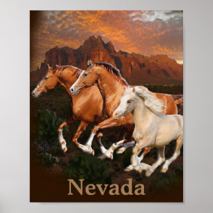 Poster de Cavalos Selvagens de Nevada