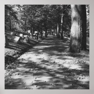 Poster de Cemitério