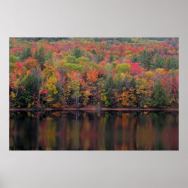 Poster de Cena de Cores de Cores de outono