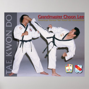 Poster de Choon Lee AKTA do Grandmaster