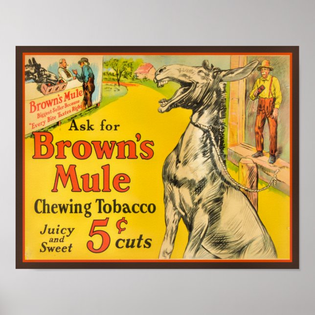 poster de Cigarro para mascar castanho de 1930 (Frente)