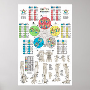 Poster de Cinco Elementos de Acupuntura