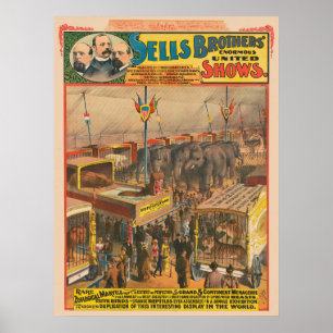 Poster De Circo De Animais Na Exposição Em Tent