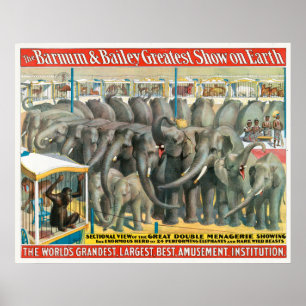 Poster De Circo De Elefantes E Animais Em Gaiolas