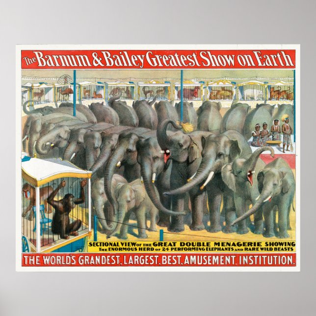 Poster De Circo De Elefantes E Animais Em Gaiolas (Frente)