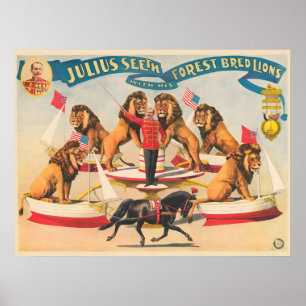 Poster De Circo De Julius Seeth Com Seus Leões