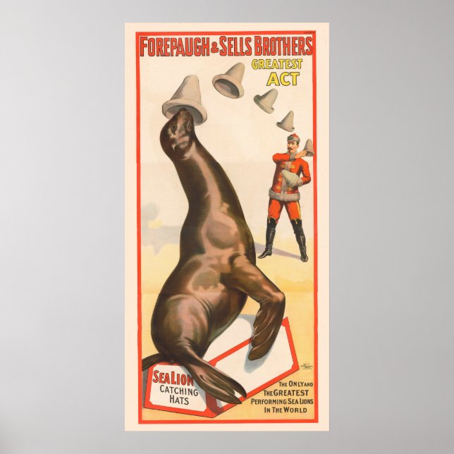 Poster de Circo Mostrando Um Chapéu De Captura De  (Frente)