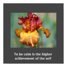 Poster de citação inspiradora