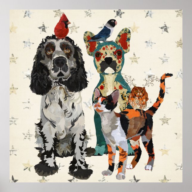 POSTER DE CLASSES, PAWS E PENAS (Frente)