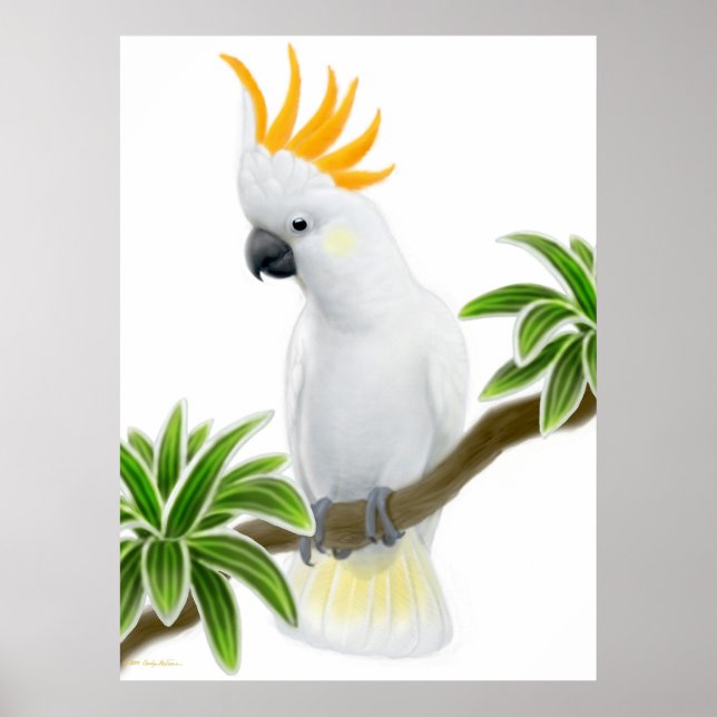 Poster de Cockatoo Detido Citron (Frente)