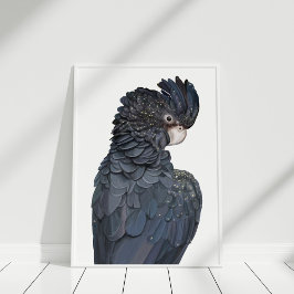 Poster de Cockatoo Negro de Altura Vermelha Austra