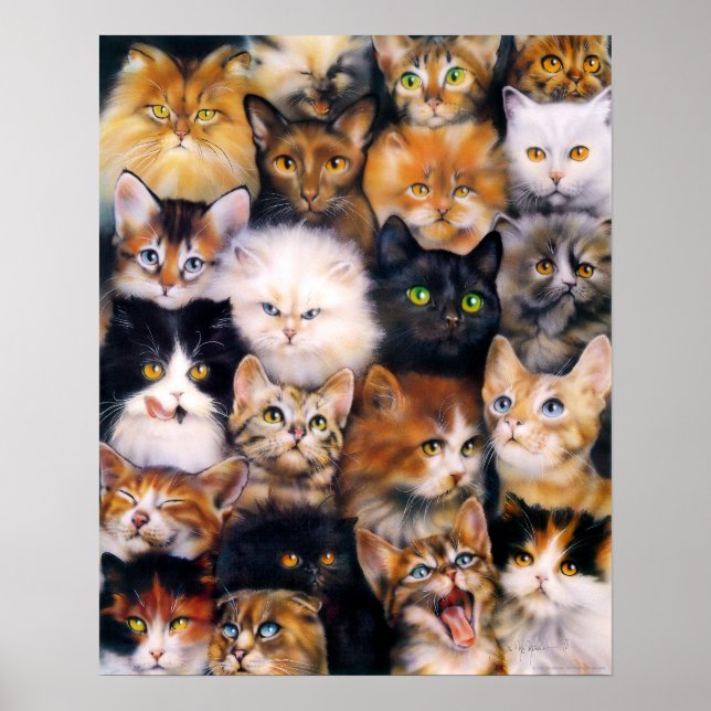 Poster de Colagem de Gatos (Frente)