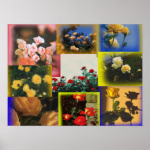 Poster de Colagem de Rosa Selvagem