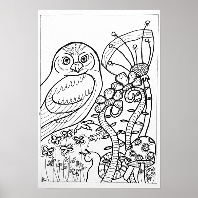 poster de coloração 13x19 com coruja (Frente)