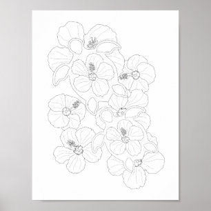 Poster de Coloração do Adulto das Tartarugas Honu