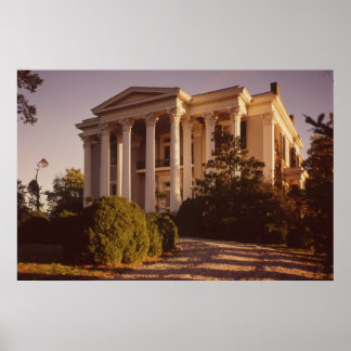 Poster de Colúmbia de Bovinos e Plantações de Bovi