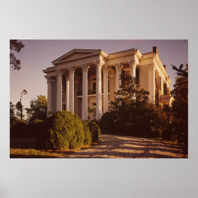 Poster de Colúmbia de Bovinos e Plantações de Bovi (Frente)