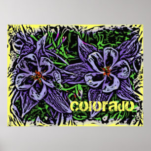 Poster de Columbines do Colorado