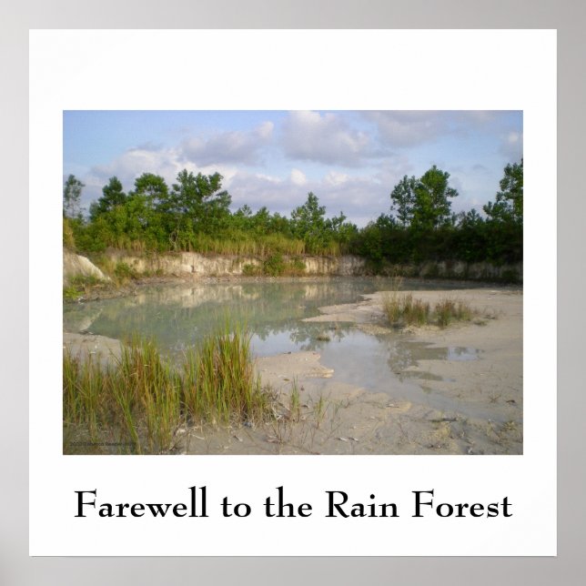 Poster de Conservação das Florestas Tropicais (Frente)
