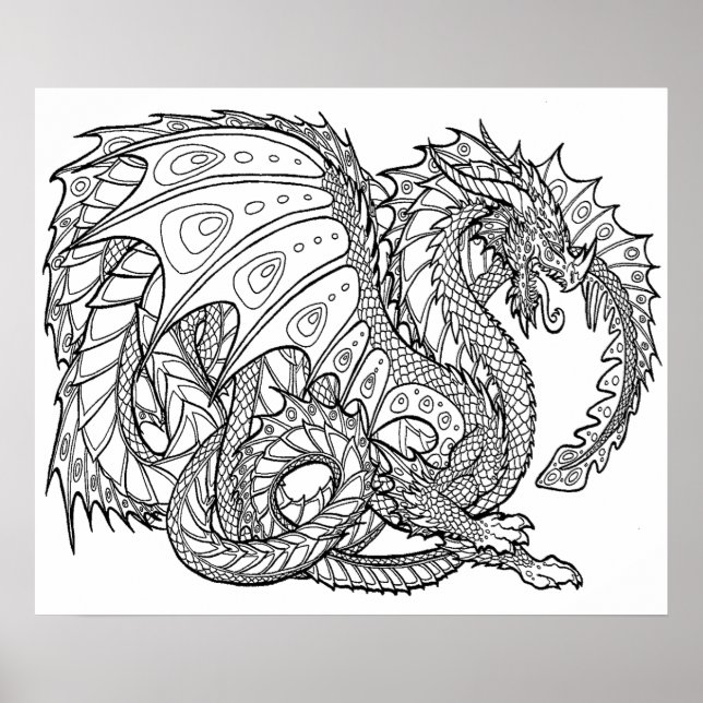 Poster de cor 20 X 24 19 (Frente)