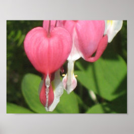 Poster de Coração com Hemorragia Floral - Papel Ma