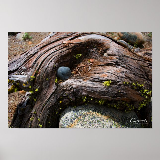 Poster de corrente (Frente)