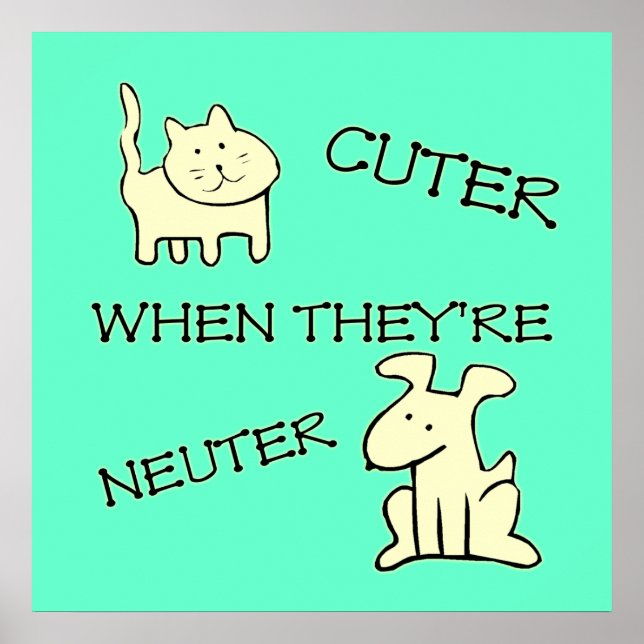 Poster de corte (Frente)