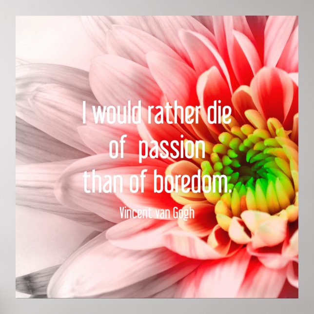 Poster de Cotação da Flor Rosa (Frente)