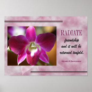 POSTER DE COTAÇÃO DE AMIZADE