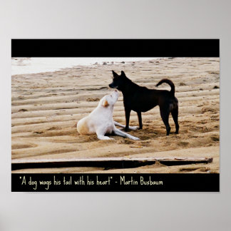 Poster de Cotação de Cachorro