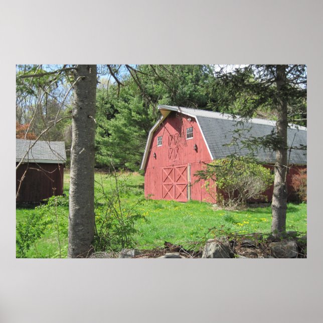 Poster de Country Barn (Frente)