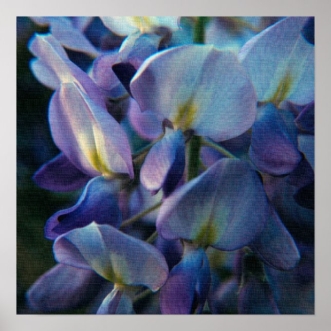 Poster de Criação de primavera (Frente)