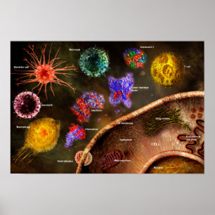 Poster de Cytokines