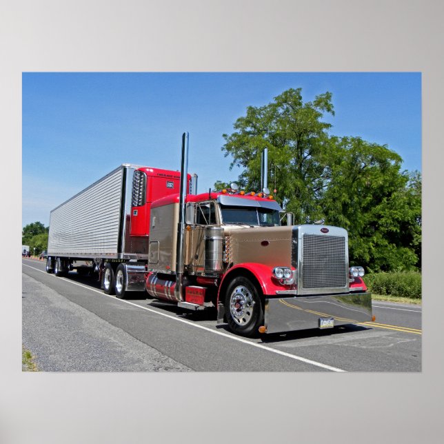 Poster de D. Zimmerman (Frente)