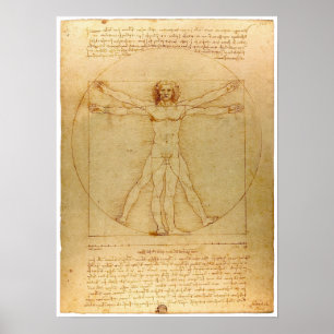 Poster De Da Vinci Vitruvian
