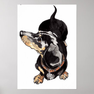 poster de dachshund