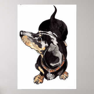 poster de dachshund