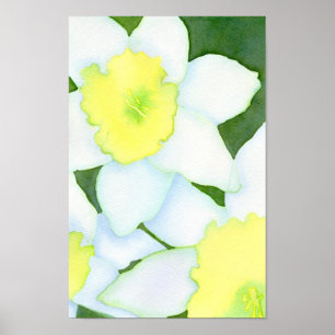 Poster de Daffodils