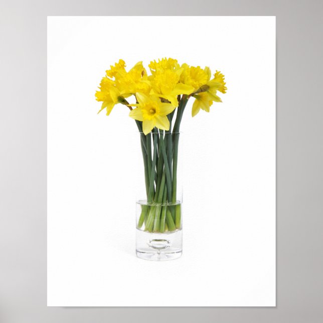 Poster de Daffodils (Frente)