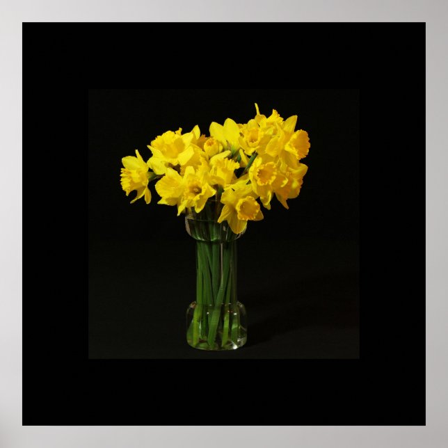 Poster de Daffodils (Frente)