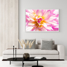 Poster De Dahlia Branca E Rosa